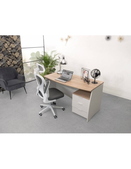 imagen_385_15